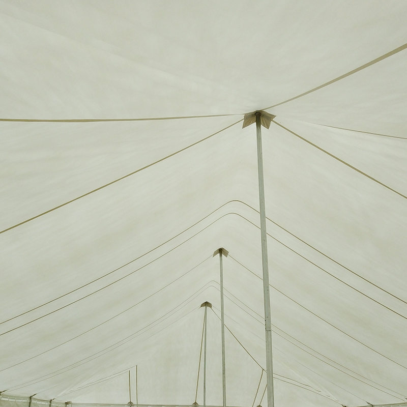 7X12m Geleneksel PVC Etkinlik Direkli Çadır, Windows